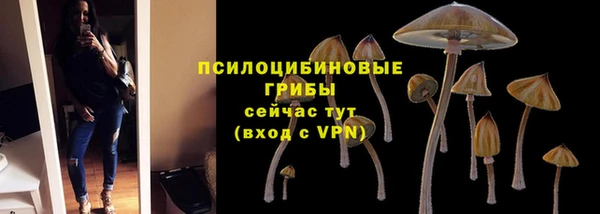 а пвп мука Аша