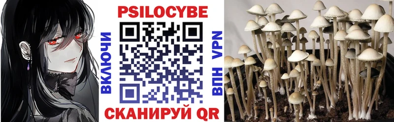 Галлюциногенные грибы мицелий  Зарайск 